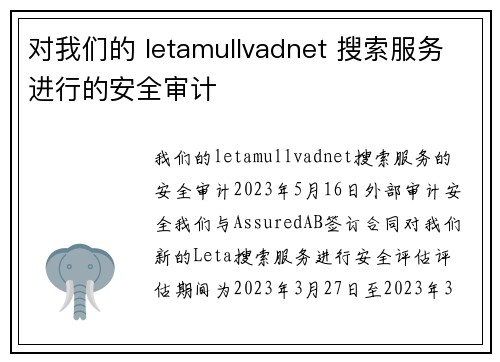 对我们的 letamullvadnet 搜索服务进行的安全审计 
