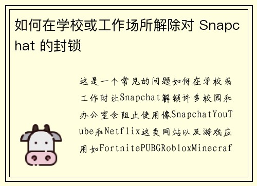 如何在学校或工作场所解除对 Snapchat 的封锁