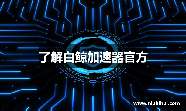 了解白鲸加速器官方